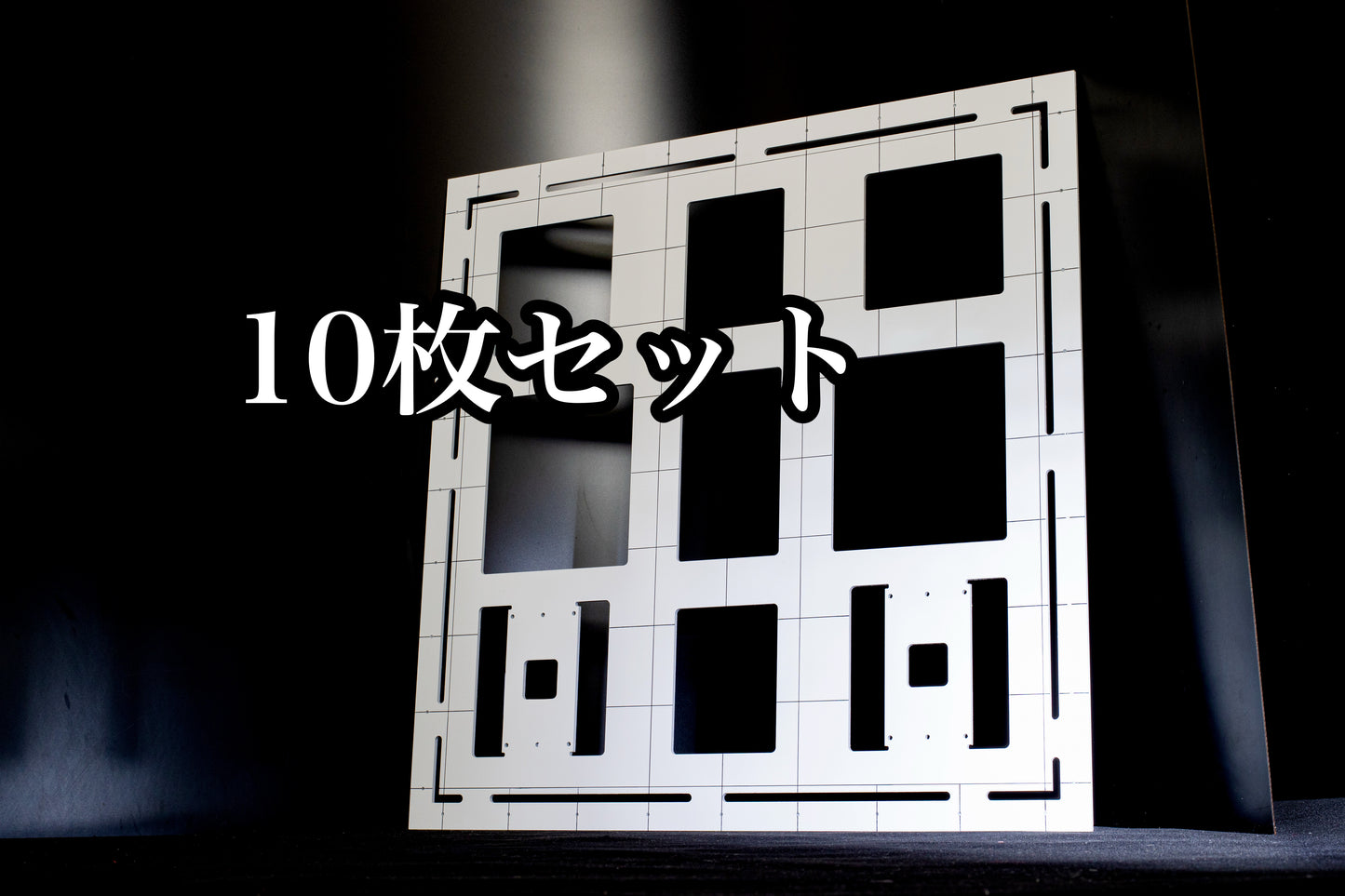 いけどりくん®(意匠登録済・商標登録済)10枚セット